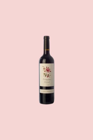 Vin rouge jeune crianza Priorat Camins del Priorat 2013