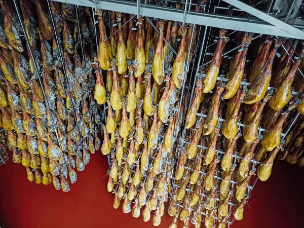 Jamones biologiques dans la cave de Domecq