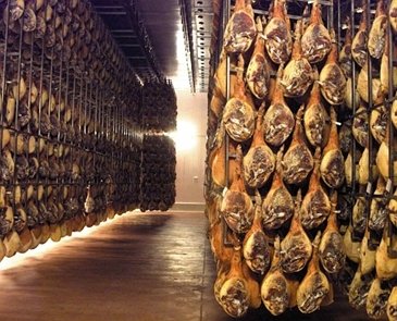 Jambons serranos en maturation